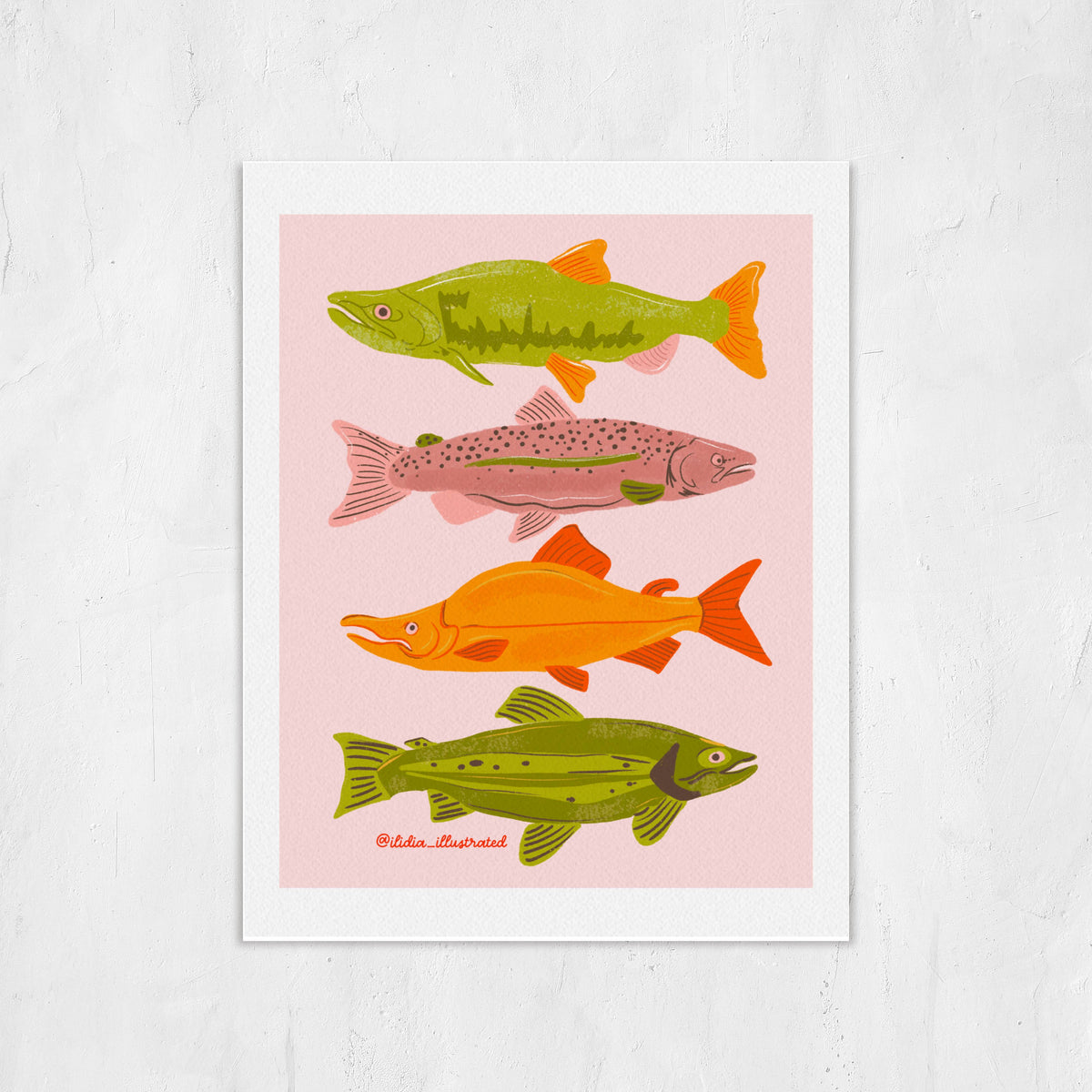 Illustration of four colorful fish on a pink background, framed against a light gray wall.
