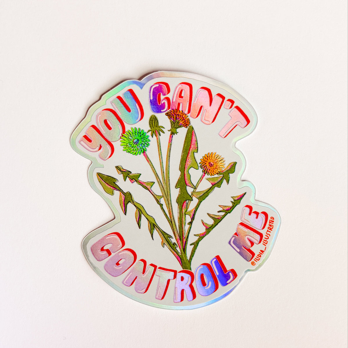 Sticker with floral design and text 'YOU CAN'T CONTROL ME' on a light pink background