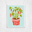 Framed artwork of a potted plant with red peppers and 'Stay Spicy' text on a light blue background.